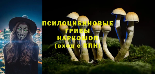 не бодяженный Семёнов