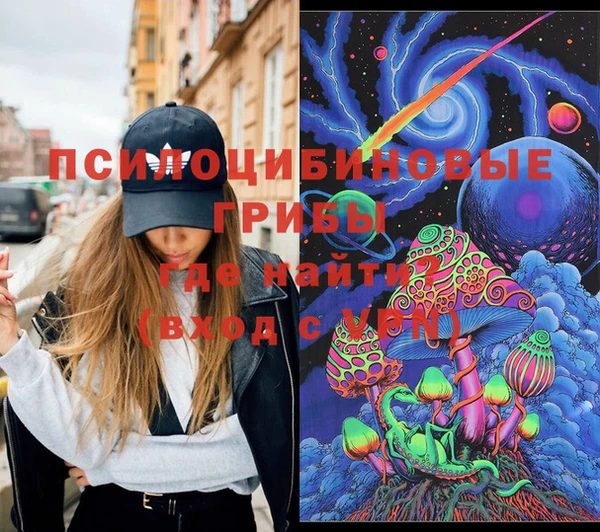 первитин Няндома