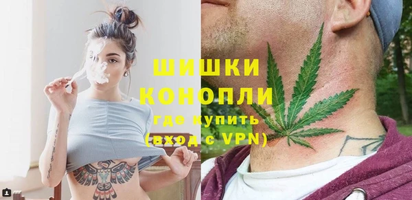 ГАЛЛЮЦИНОГЕННЫЕ ГРИБЫ Новодвинск