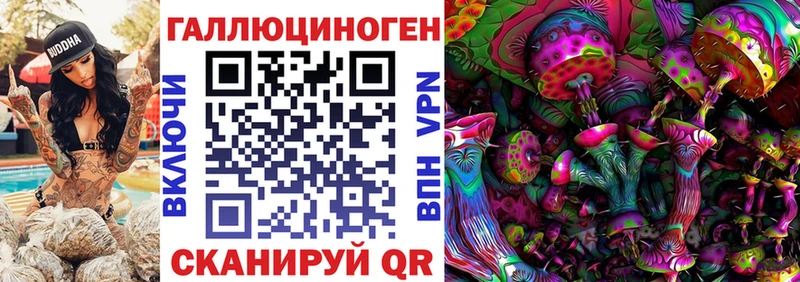 наркошоп Лодейное Поле Псилоцибиновые грибы GOLDEN TEACHER